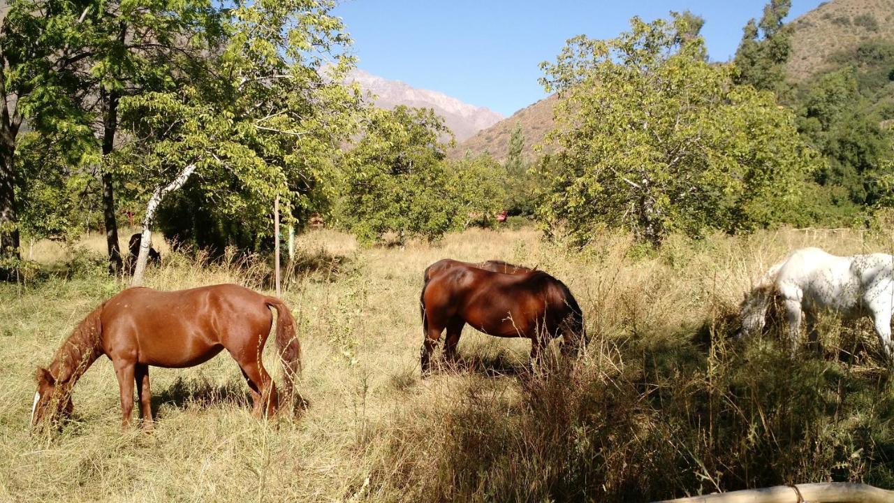 Cascada Lodge Cajon Del Maipo San José de Maipo Dış mekan fotoğraf